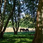 Gutshaus Zarchlin Apartamento