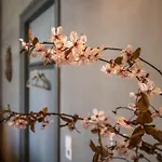 Gutshaus Zarchlin Apartamento Barkhagen
