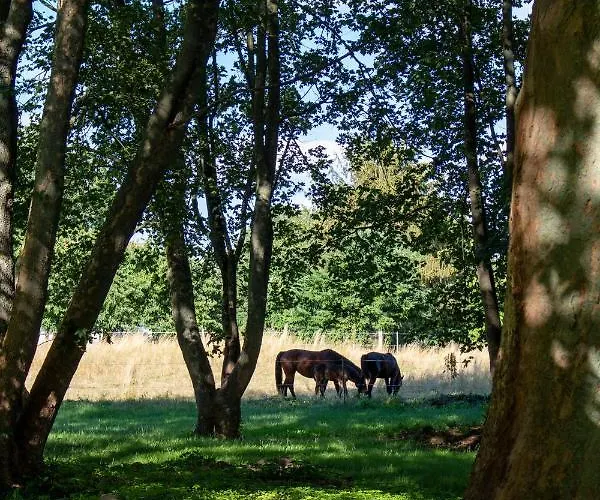 Gutshaus Zarchlin 아파트